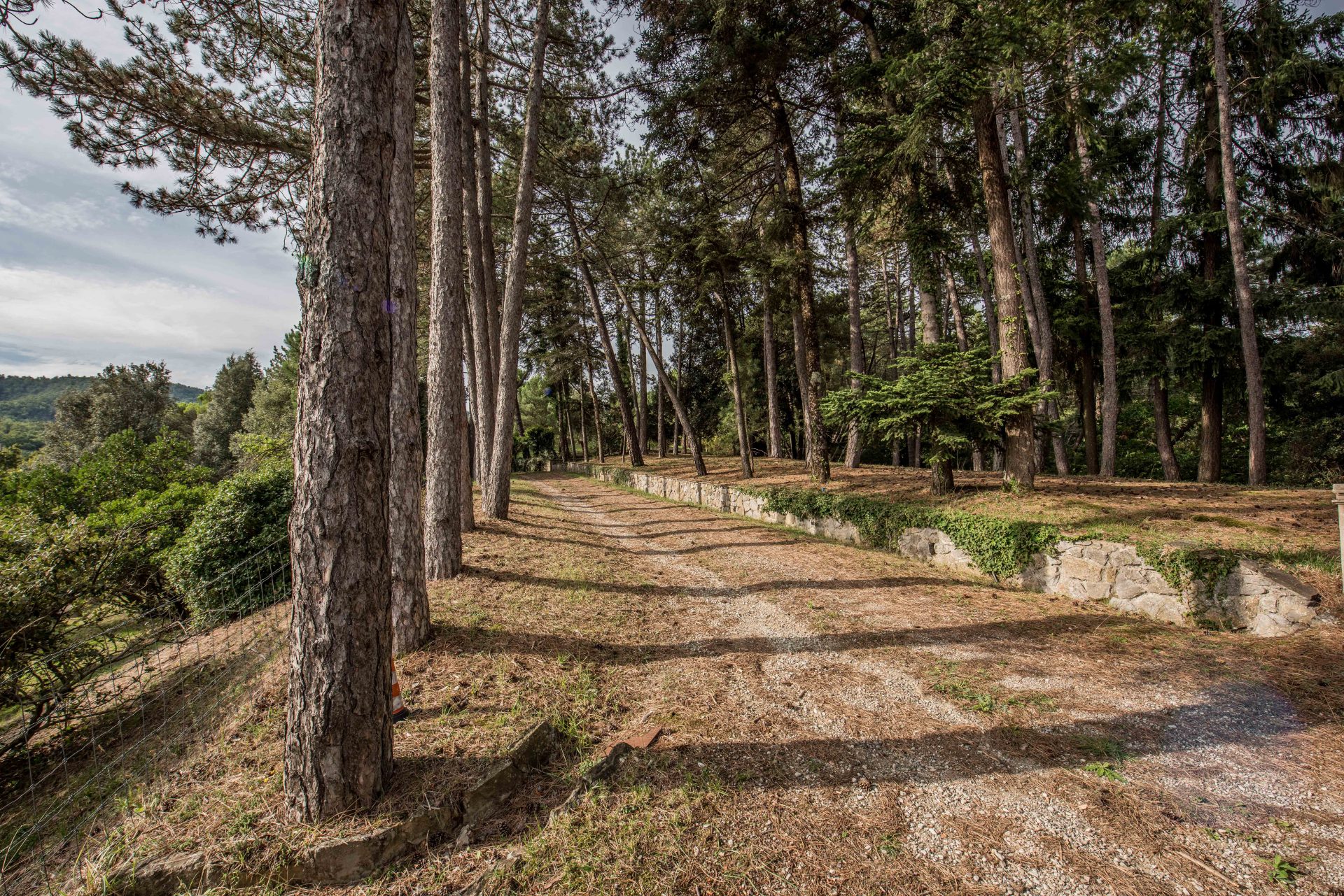 Original photograph 14 · Arezzo (AR) · Ref. ARZ-499