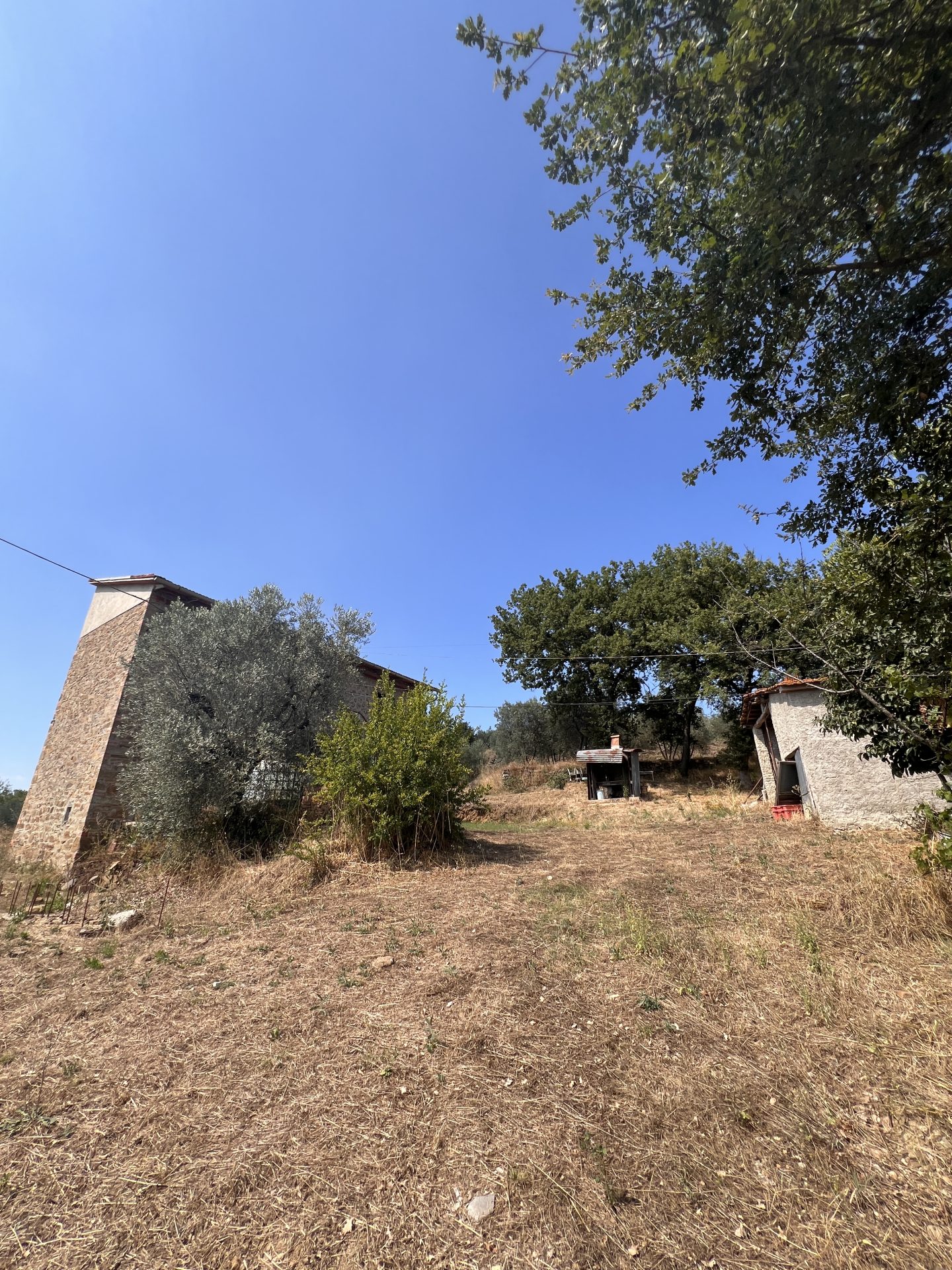 Original photograph 15 · Arezzo (AR) · Ref. BUC-250
