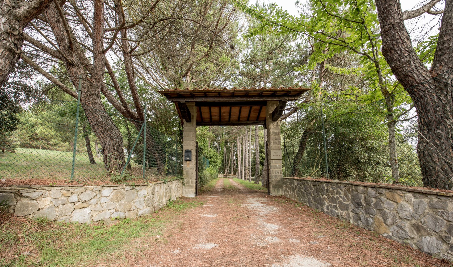 Original photograph 12 · Arezzo (AR) · Ref. ARZ-499