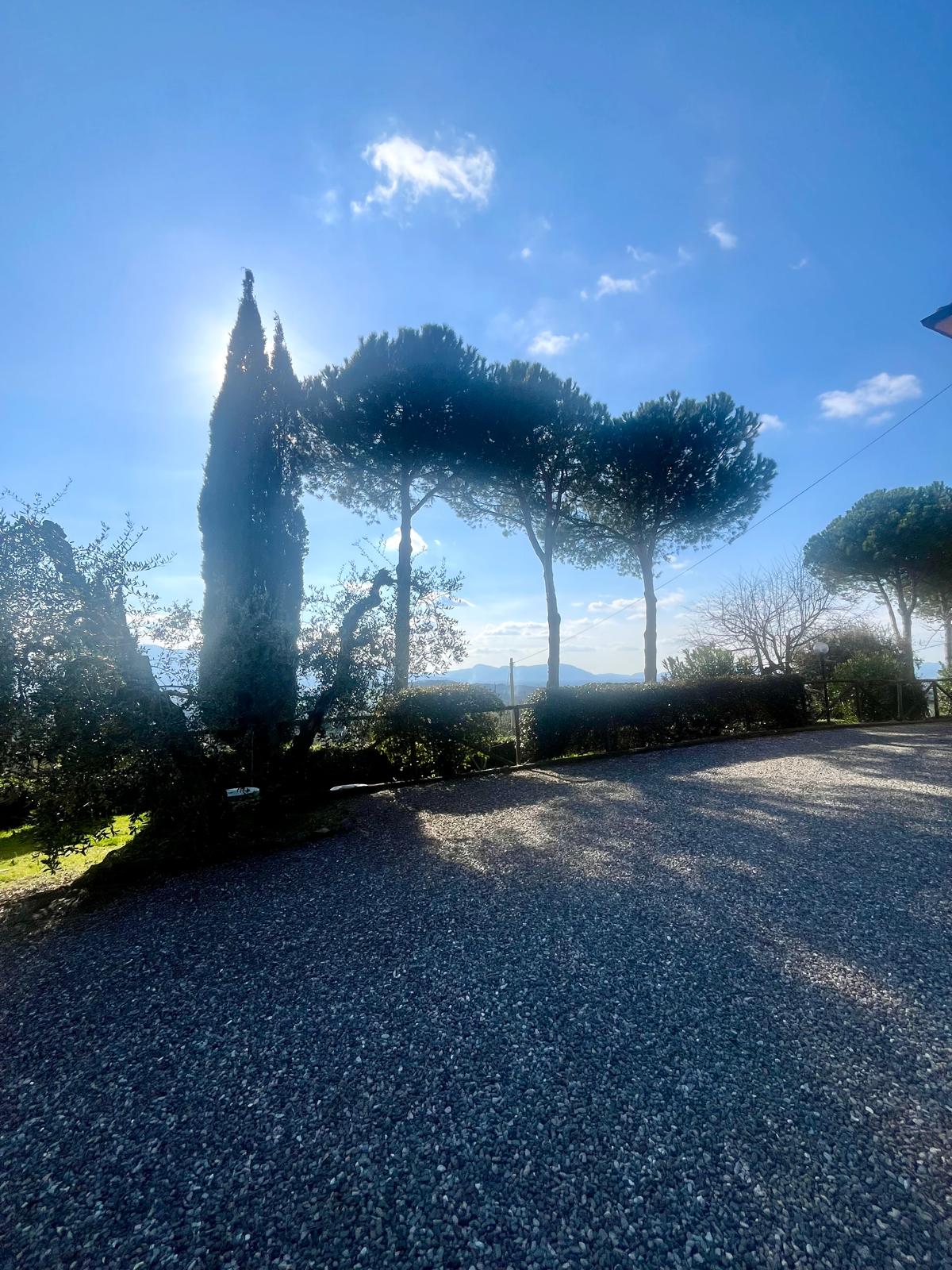 Original photograph 5 · Capannori (LU) · Ref. SMT-325