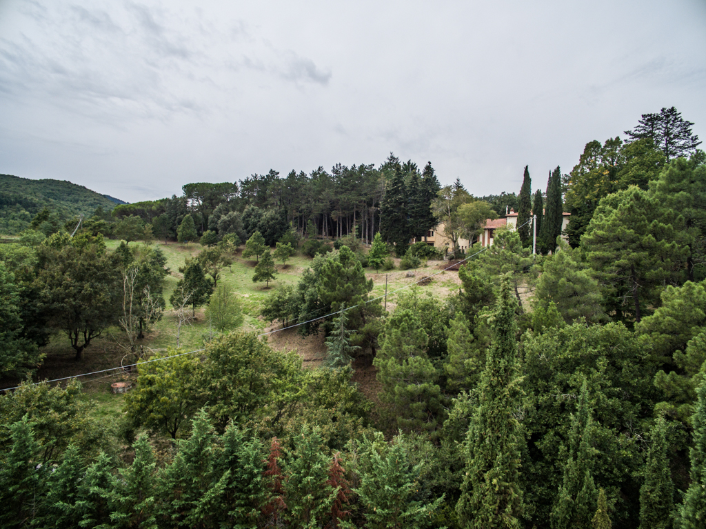Original photograph 11 · Arezzo (AR) · Ref. ARZ-499