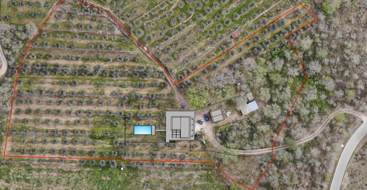 DETACHED FARMHOUSE WITH OLIVE GROVE