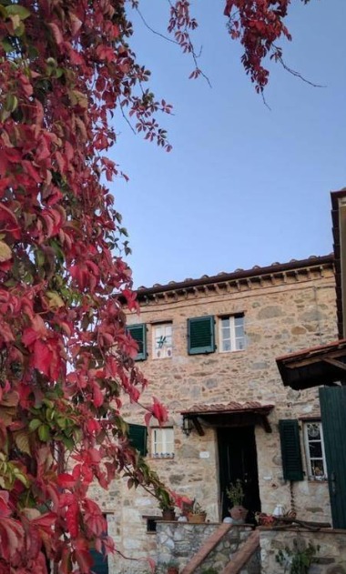 Renovated country house