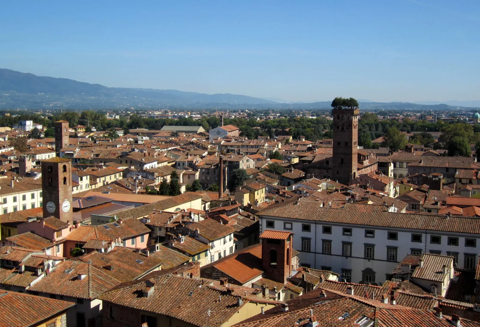 I tetti e le torri del centro storico di Lucca